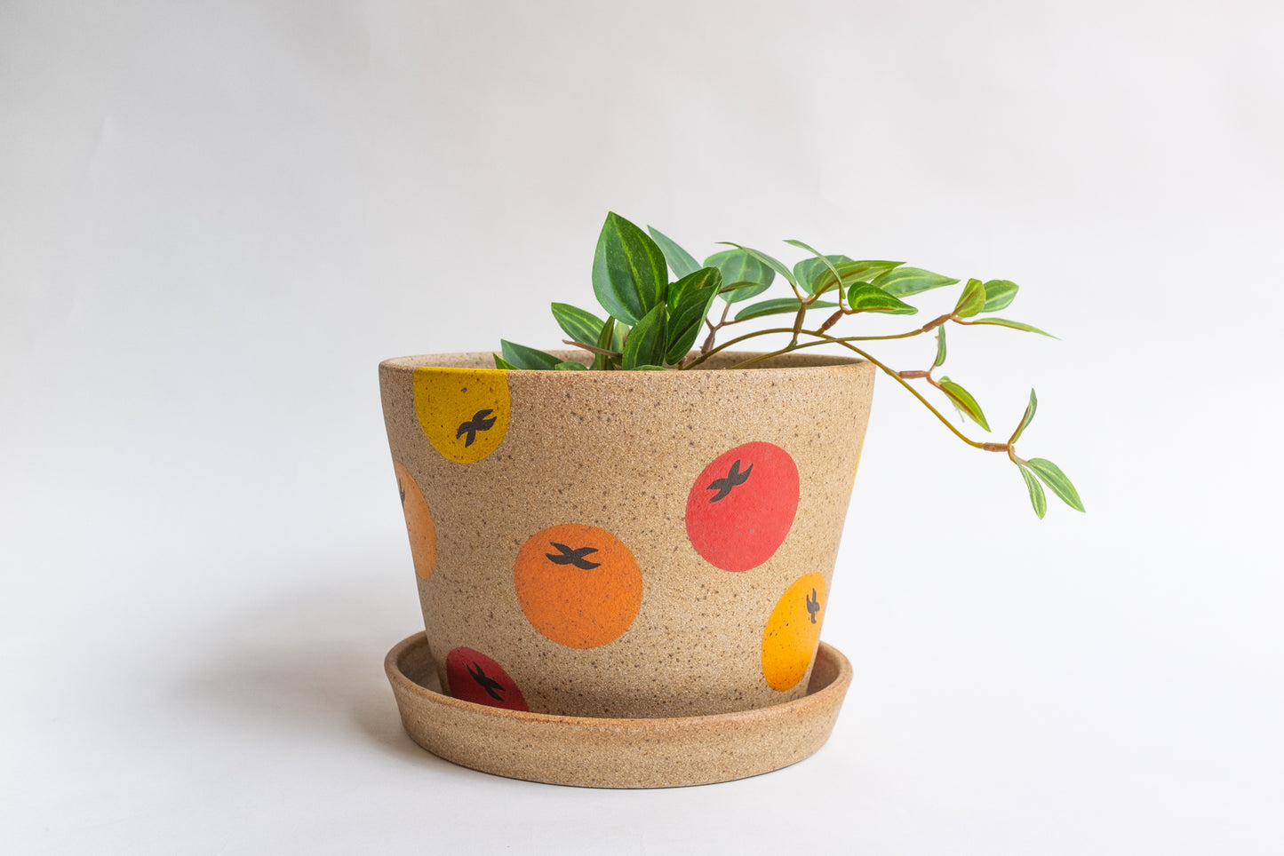 Tomato Planter