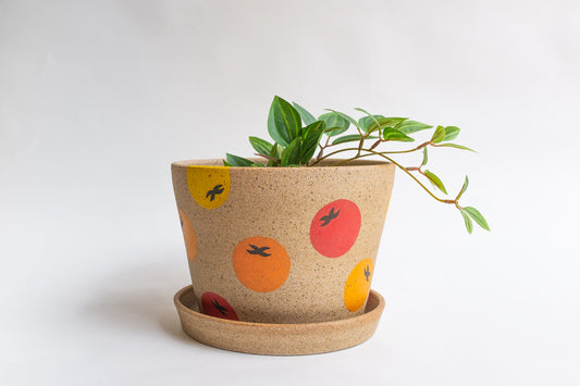 Tomato Planter