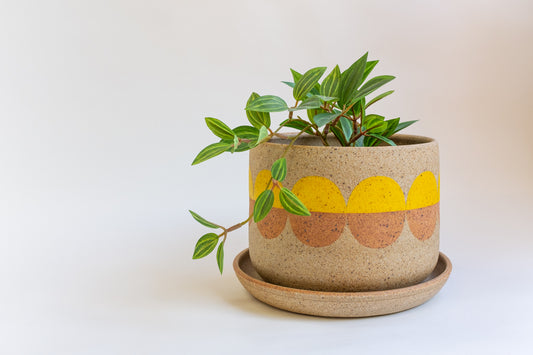 Sunday Planter