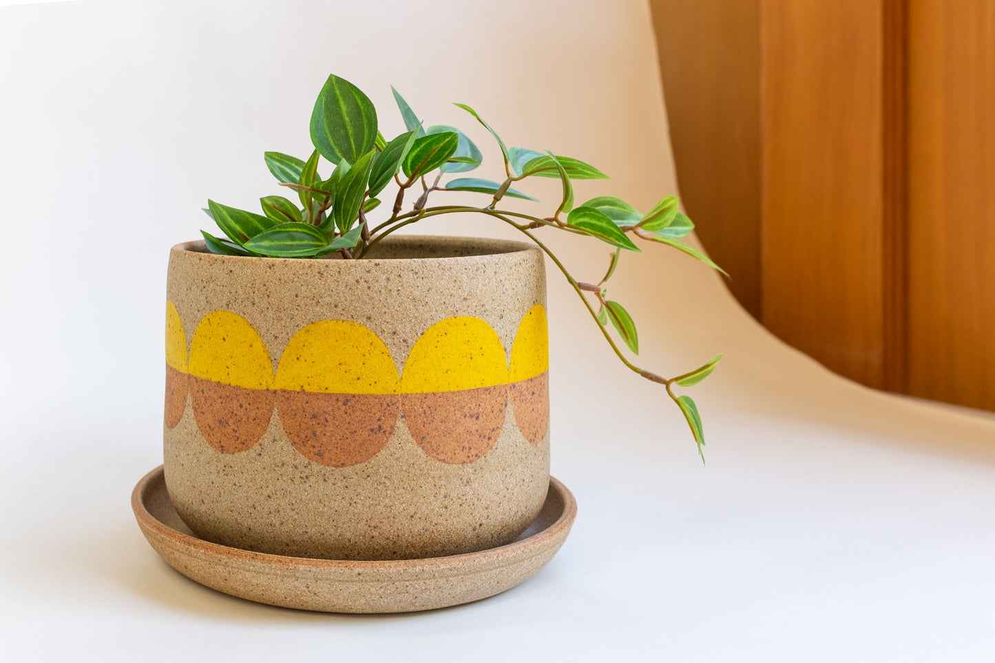 Sunday Planter